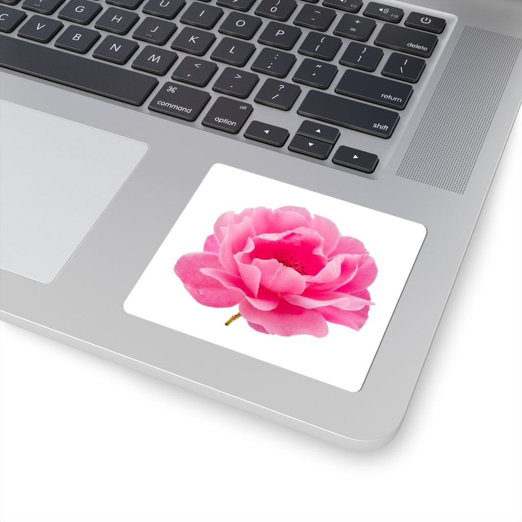 Pink Peony Sticker — Floral Kiss-Cut Decal for Laptops, Water Bottles & Journals